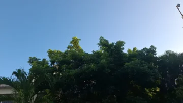 Este es el pronóstico de Meteorología para este jueves 15 de mayo