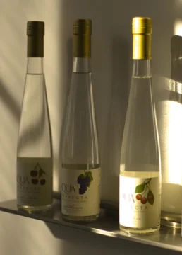 Cóctel y bebidas alcohólicas