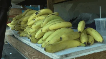 Productores de banano de República Dominicana protestan por precios bajos de supermercado Lidl Productores de banano de República Dominicana protestan por precios bajos de supermercado Lidl