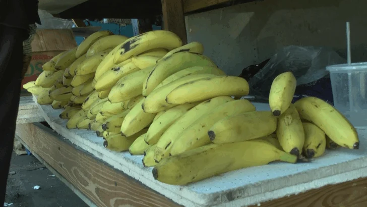 Productores de banano de República Dominicana protestan por precios bajos de supermercado Lidl Productores de banano de República Dominicana protestan por precios bajos de supermercado Lidl