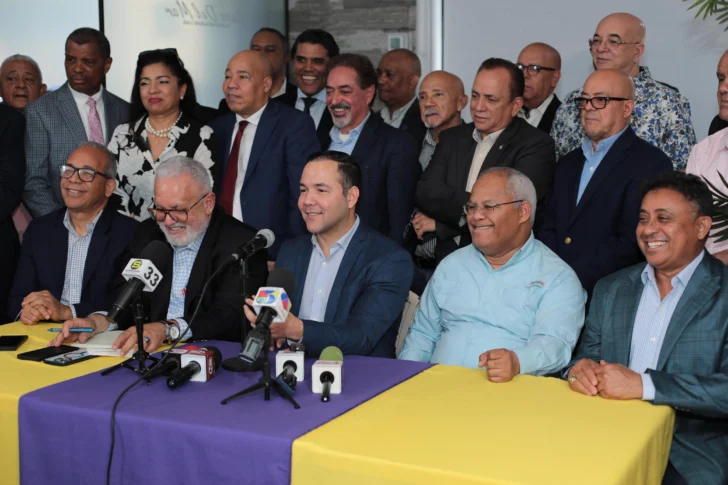 PLD reafirma liderazgo político y se reorganiza para “acompañar al pueblo” en sus luchas