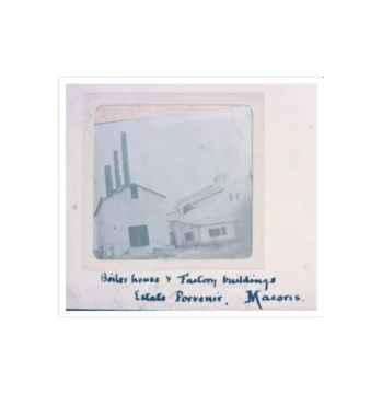 Historia del Ingenio Porvenir. Aclaraciones sobre su fundación