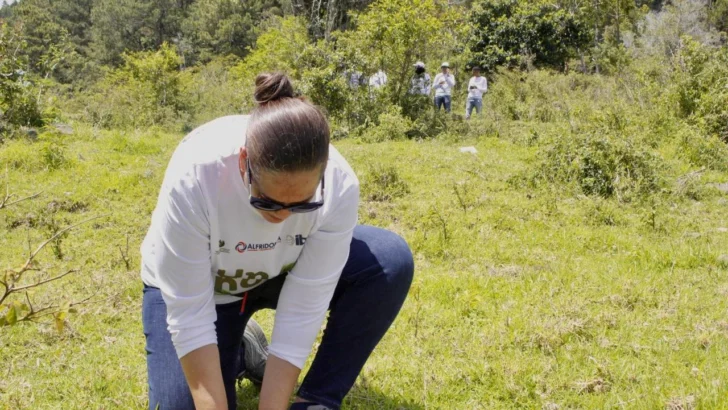 Alfridomsa y Parque del Prado realizan jornada de reforestación en Constanza Alfridomsa y Parque del Prado realizan jornada de reforestación en Constanza