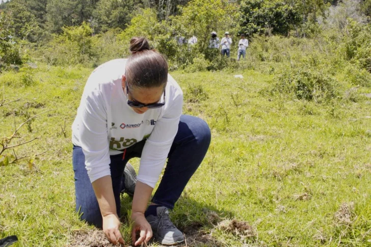 Alfridomsa y Parque del Prado realizan jornada de reforestación en Constanza