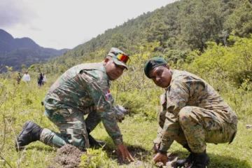 Alfridomsa y Parque del Prado realizan jornada de reforestación en Constanza
