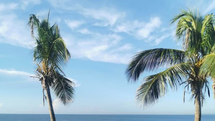 Este es el pronóstico de Meteorología para este jueves 22 de mayo