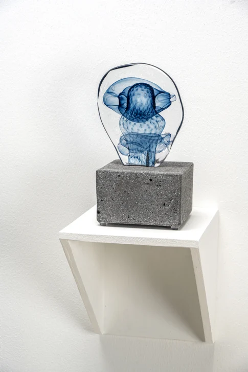 Tropicaribeastral, Mónica Ferreras de la Maza en el Museo de Arte Moderno
