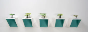 Tropicaribeastral, Mónica Ferreras de la Maza en el Museo de Arte Moderno