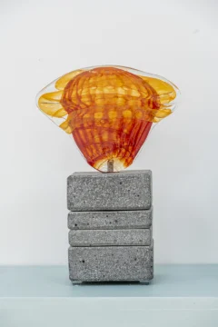 Tropicaribeastral, Mónica Ferreras de la Maza en el Museo de Arte Moderno
