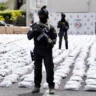 Confiscan más de 3 mil paquetes de marihuana en puerto de Haina