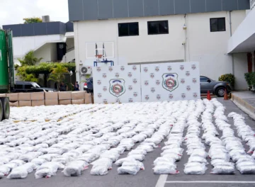 Cargamento de marihuana incautado en puerto de Haina peso más de 6 mil libras