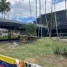 Abogado de víctimas Jet Set asegura Espaillat fue arrestado este jueves