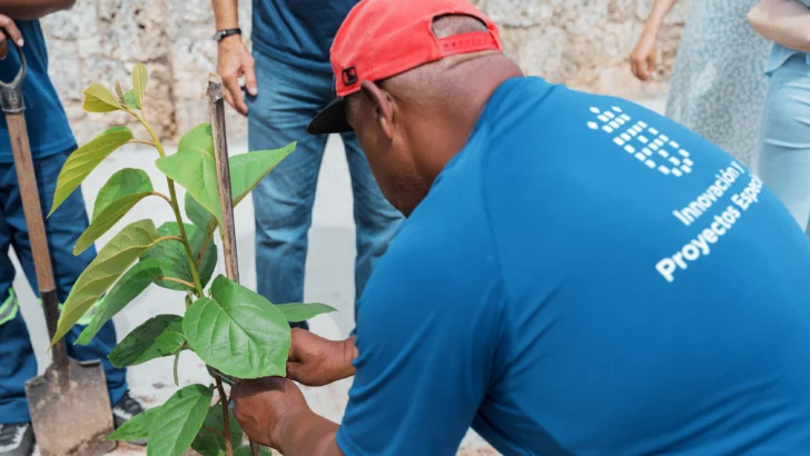 Celebran el Día Nacional del Árbol con plantación de 70 árboles