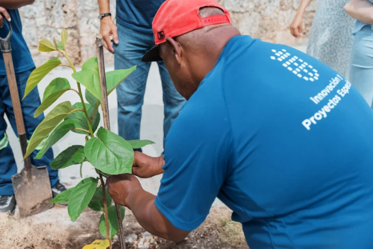 Celebran el Día Nacional del Árbol con plantación de 70 árboles