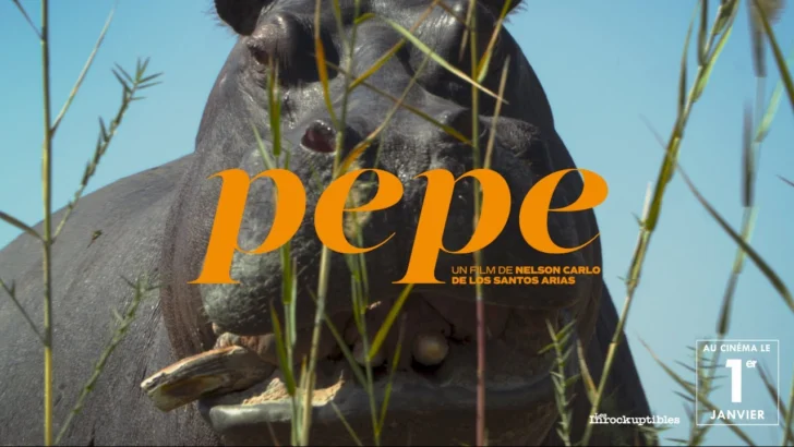 “Pepe”: fábula regular sobre un hipopótamo