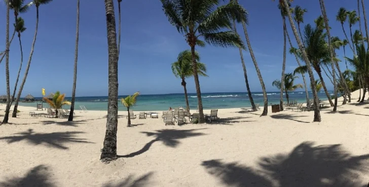 Aseguran que playas de Guayacanes son seguras tras avistamiento de tiburón