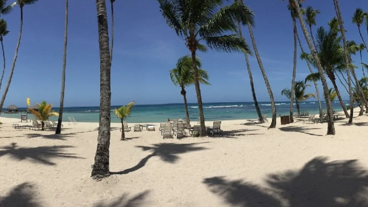 Aseguran que playas de Guayacanes son seguras tras avistamiento de tiburón