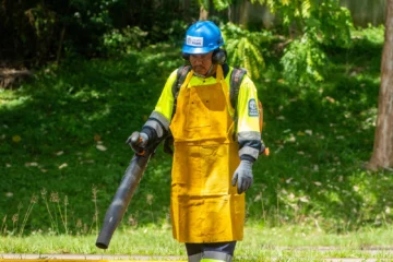 Prevención de áreas verdes protege la infraestructura durante temporada ciclónica