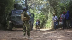 Un año después de su despliegue en Haití, la desilusión por la misión de seguridad liderada por Kenia