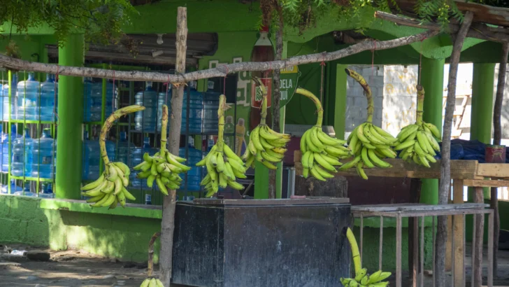 Los habitantes de Barahona sobreviven financieramente a base de agricultura, remesas y zonas francas Los habitantes de Barahona sobreviven financieramente a base de agricultura, remesas y zonas francas