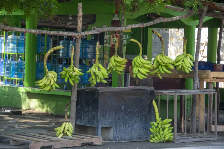 Los habitantes de Barahona sobreviven financieramente a base de agricultura, remesas y zonas francas