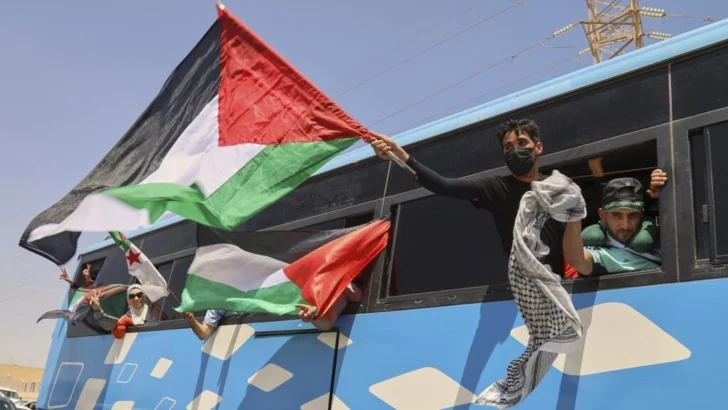 Marcha de solidaridad con Gaza: numerosos activistas pro palestinos detenidos en El Cairo