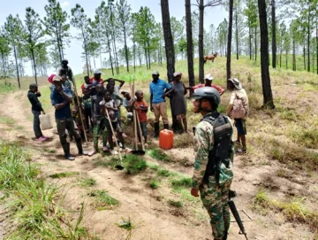 Ejército arresta a un grupo de haitianos acusados de cortar árboles y hacer carbón sin autorización