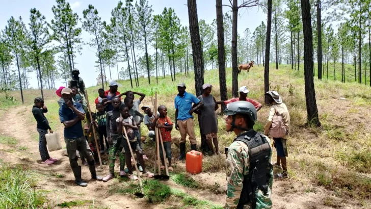 Ejército arresta a un grupo de haitianos acusados de cortar árboles y hacer carbón sin autorización Ejército arresta a un grupo de haitianos acusados de cortar árboles y hacer carbón sin autorización