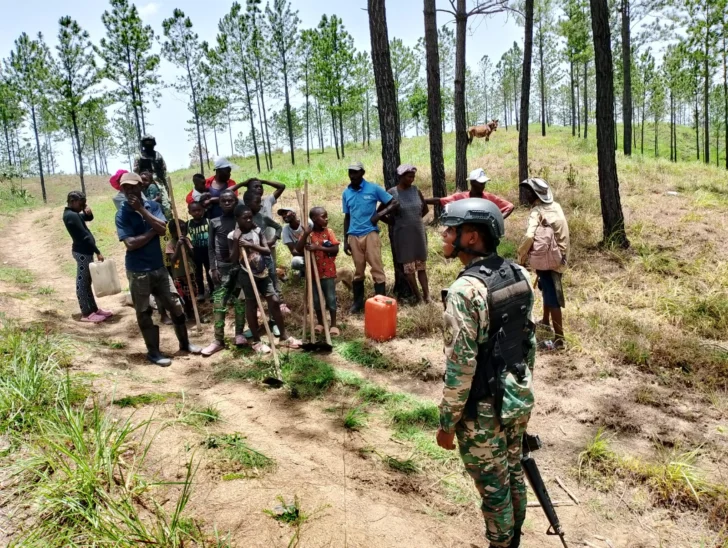 Ejército arresta a un grupo de haitianos acusados de cortar árboles y hacer carbón sin autorización