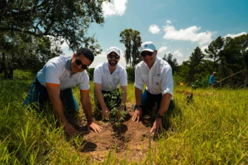 Empleados voluntarios del Grupo Popular siembran 3,000 árboles en el Plan Sierra