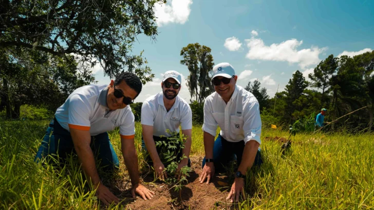 Empleados voluntarios del Grupo Popular siembran 3,000 árboles en el Plan Sierra Empleados voluntarios del Grupo Popular siembran 3,000 árboles en el Plan Sierra