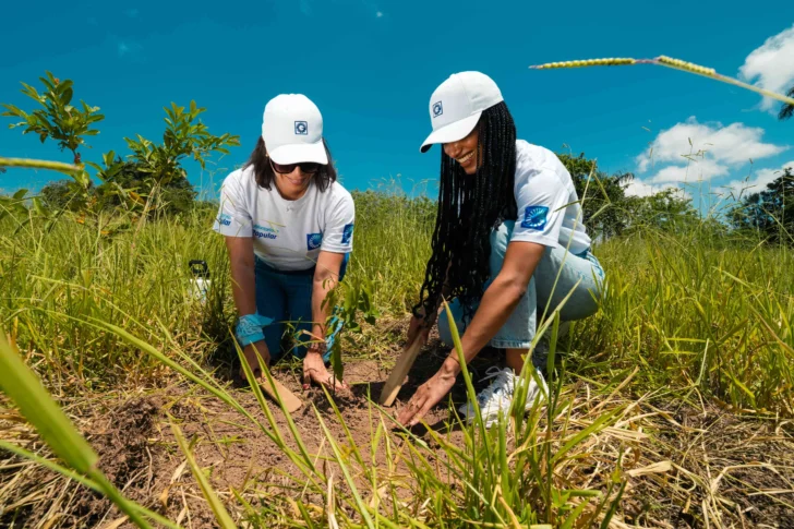Empleados voluntarios del Grupo Popular siembran 3,000 árboles en el Plan Sierra