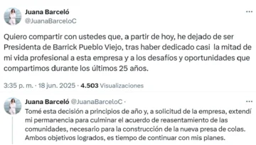 Juana Barceló anuncia que deja la presidencia de Barrick Pueblo Viejo