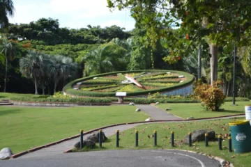 “El Jardín Botánico no se toca”: UASD exige transparencia ante posible afectación del Jardín Botánico “El Jardín Botánico no se toca”: UASD exige transparencia ante posible afectación del Jardín Botánico