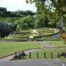 Medio Ambiente: no hay propuesta formal ni permiso para intervenir en el Jardín Botánico