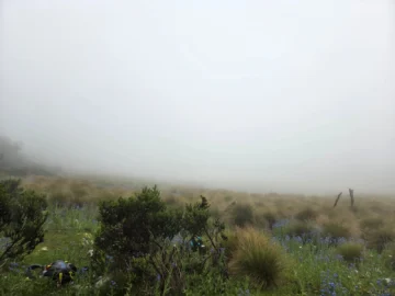  Las brumas de la Sabana. Atrás quedó el acelere de la ciudad.