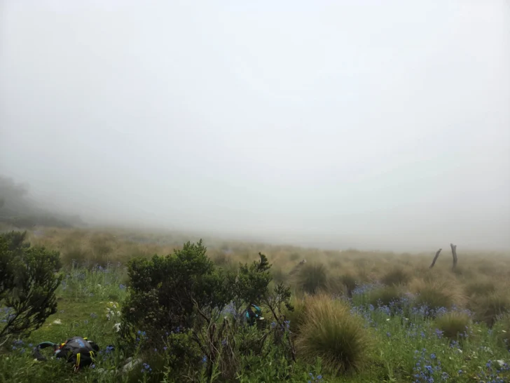  Las brumas de la Sabana. Atrás quedó el acelere de la ciudad.