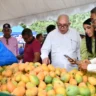 Administrador del Banco Agrícola asegura lluvias han sido beneficiosas para la agricultura y la ganadería