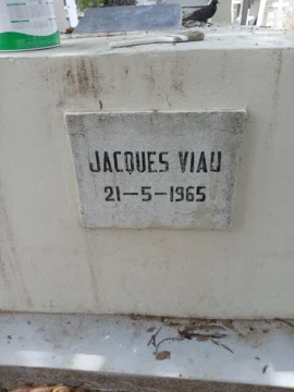 Mateo Morrison rinde homenaje a Jacques Viau Renaud, poeta haitiano que murió en defensa de la soberanía dominicana