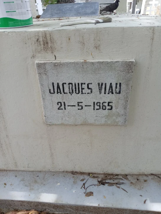 Mateo Morrison rinde homenaje a Jacques Viau Renaud, poeta haitiano que murió en defensa de la soberanía dominicana