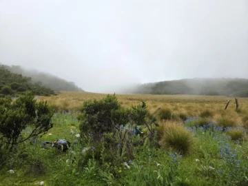  No es un paisaje de México. Es la Sabana del Silencio y sus secretos.