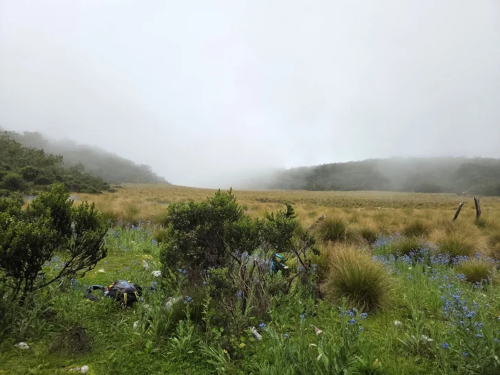 ¡Vamos a Sabana del Silencio!