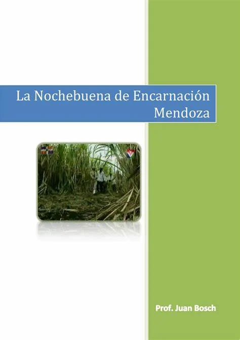La novela dominicana frente a la cámara: un potencial desaprovechado