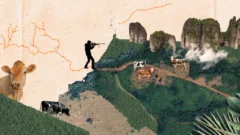 Casi 2.000 km de vías ilegales devoran áreas protegidas en la Amazonía de Colombia