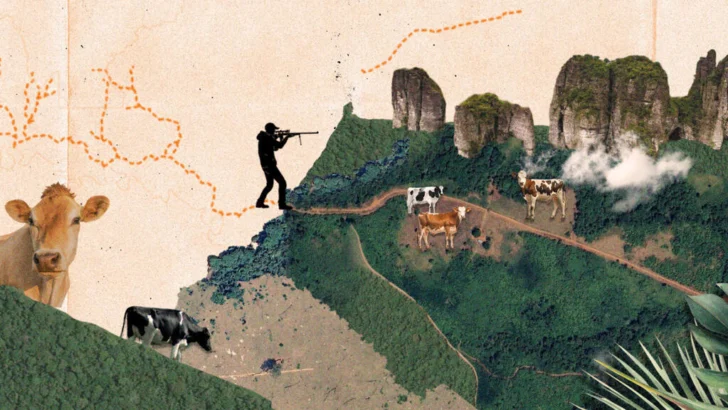 Casi 2.000 km de vías ilegales devoran áreas protegidas en la Amazonía de Colombia