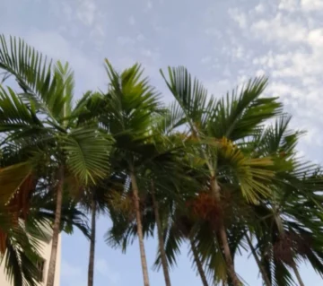 Este es el pronóstico de Meteorología para este martes 1 de julio