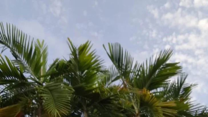 Este es el pronóstico de Meteorología para este martes 1 de julio