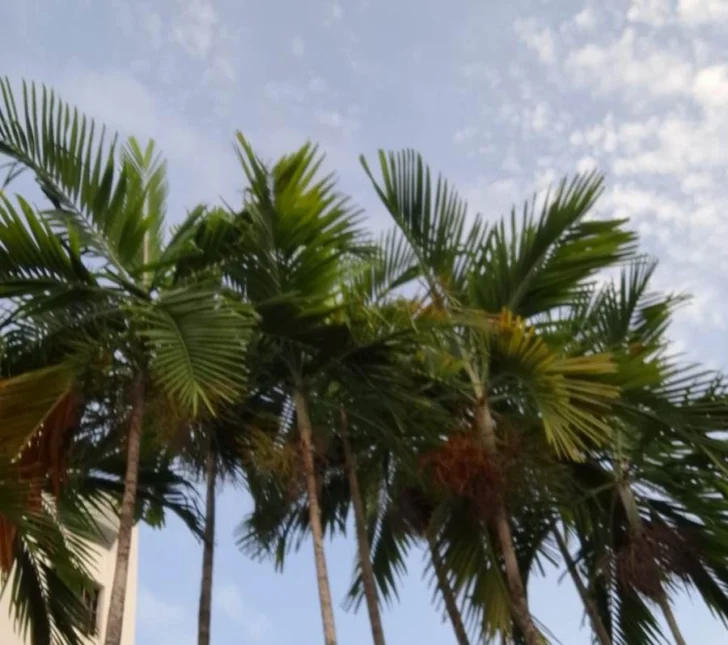 Este es el pronóstico de Meteorología para este martes 1 de julio
