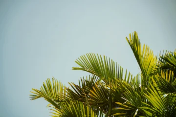 Este es el pronóstico de Meteorología para este martes, 3 de junio