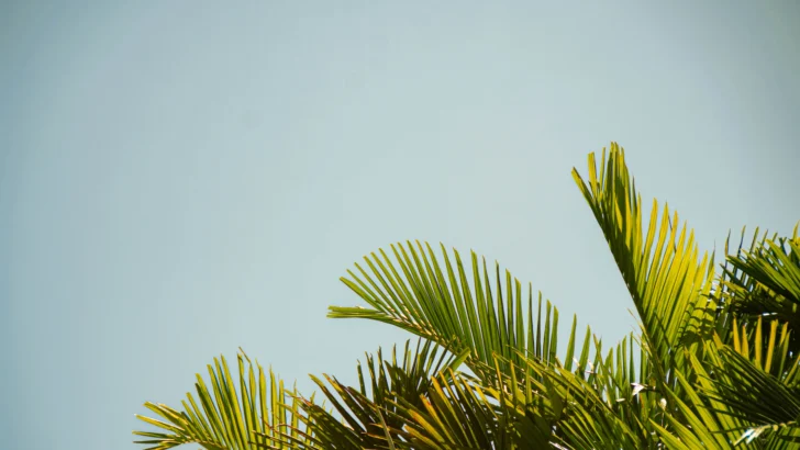Este es el pronóstico de Meteorología para este martes, 3 de junio